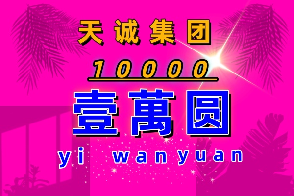 天诚集团的格局